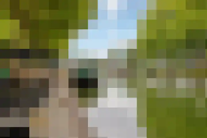 Dorpsstraat 6 A Nieuwegein thumbnail 22