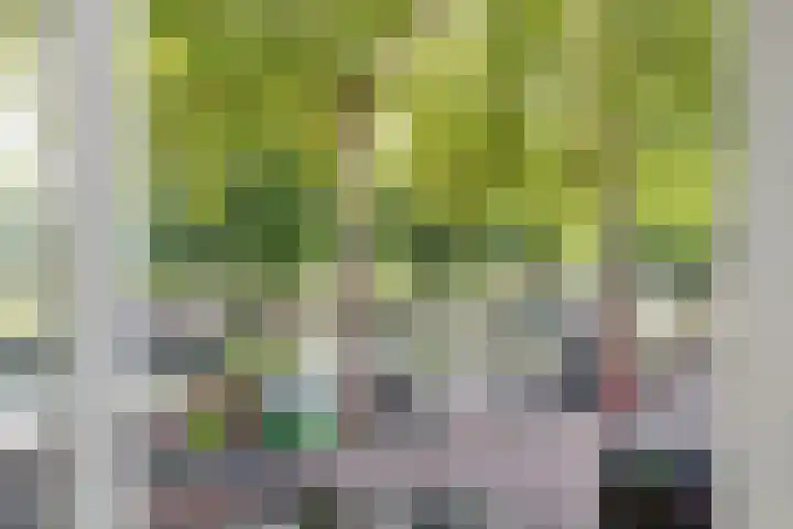 Dorpsstraat 6 A Nieuwegein thumbnail 4