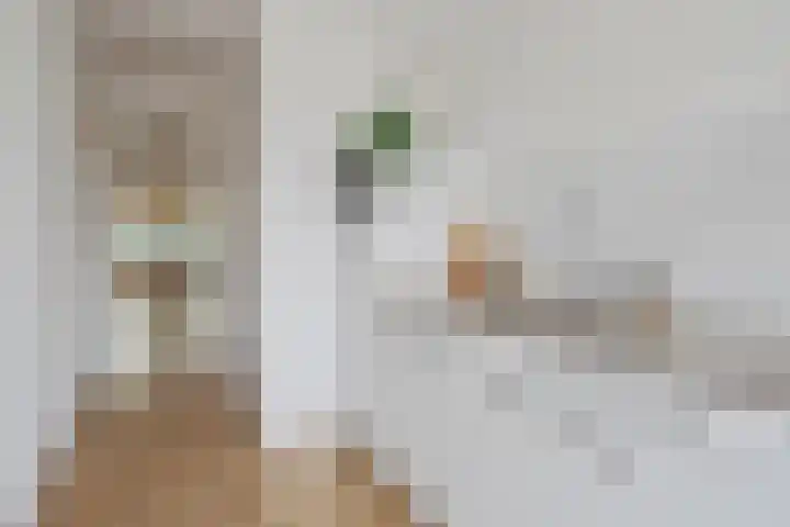 Dorpsstraat 6 A Nieuwegein thumbnail 9