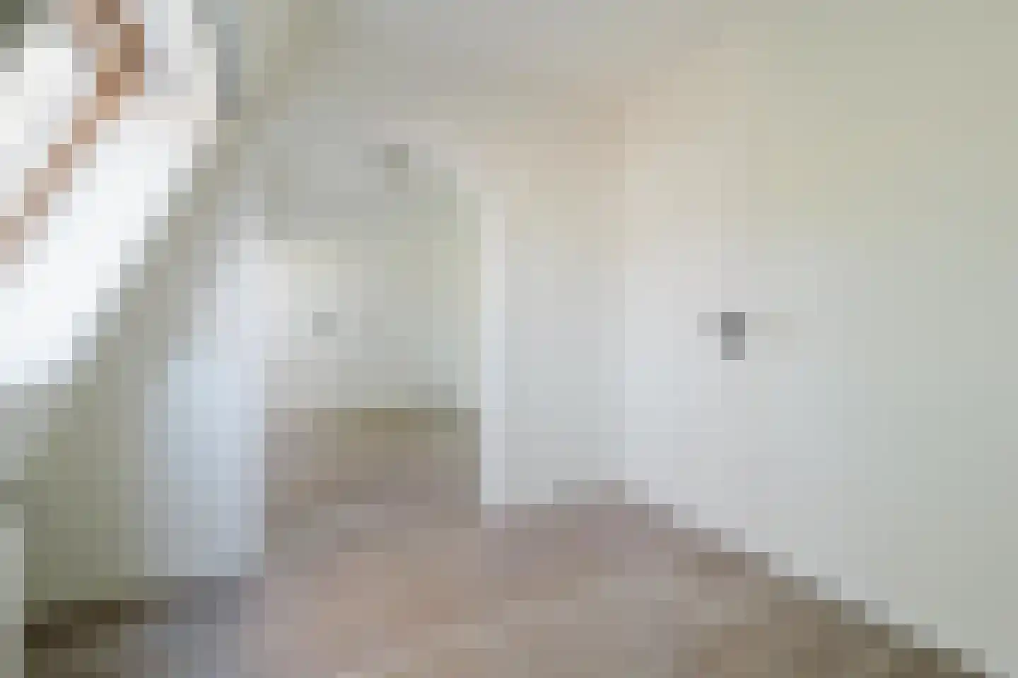 Dorpsstraat 6 b Heino thumbnail 13