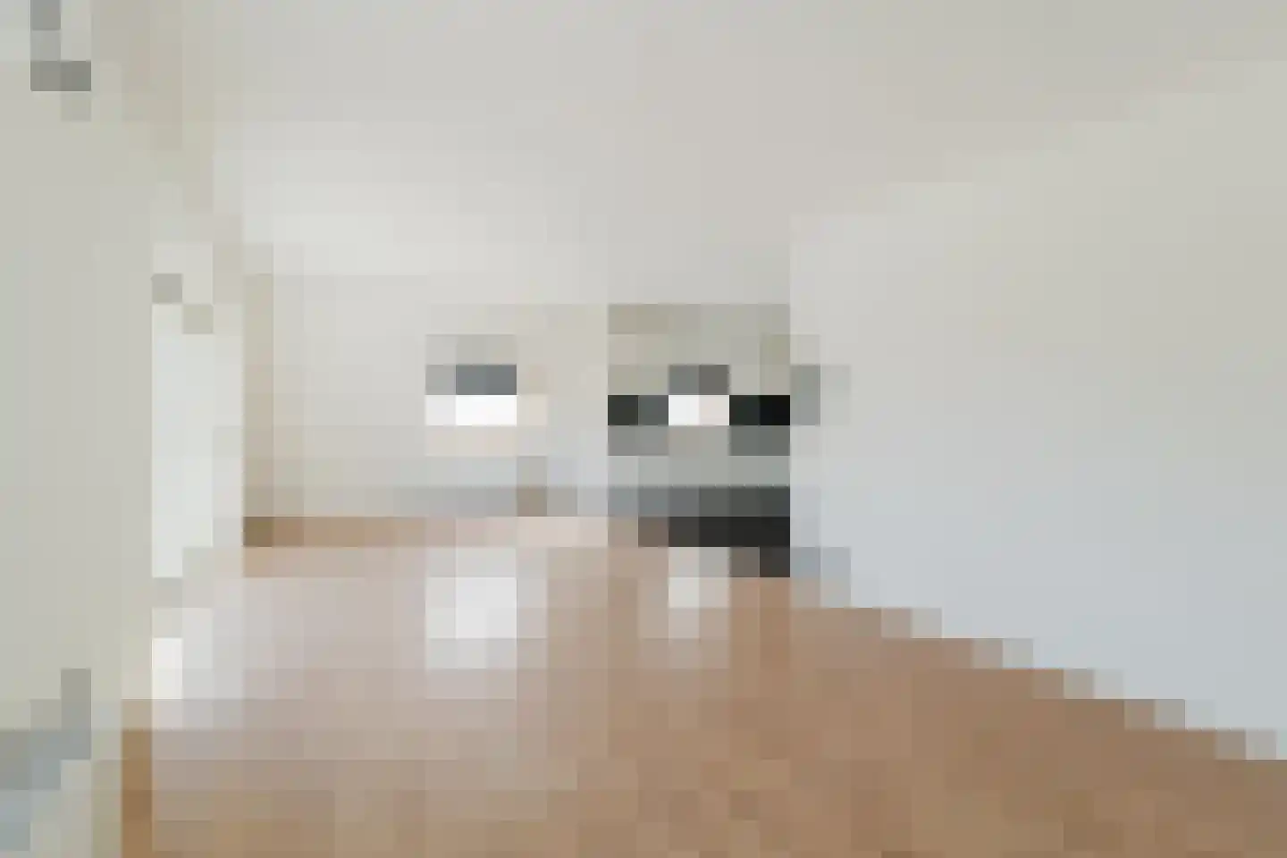 Dorpsstraat 6 b Heino thumbnail 7