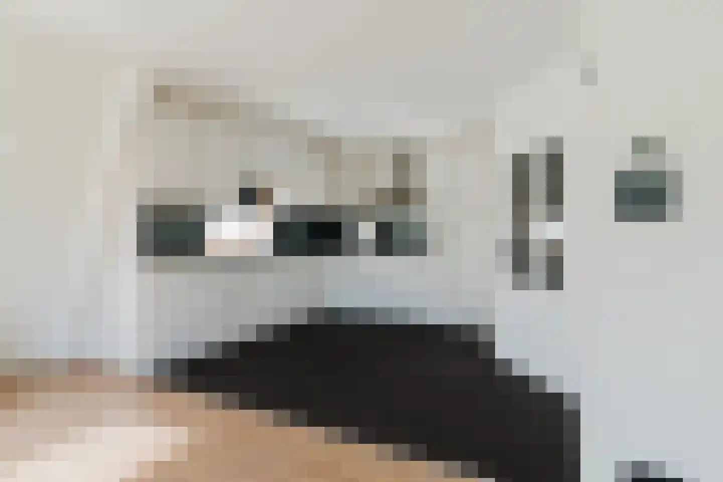 Dorpsstraat 6 b Heino thumbnail 8