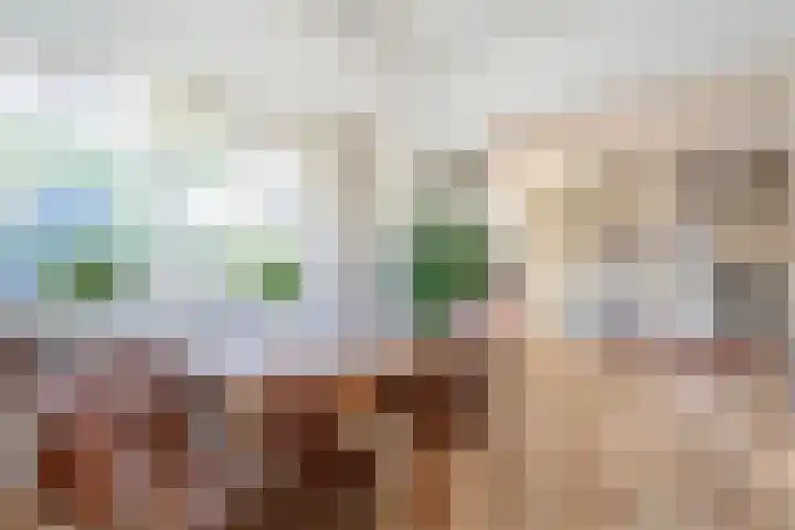 Dorpsstraat 6 B Nijeveen thumbnail 10