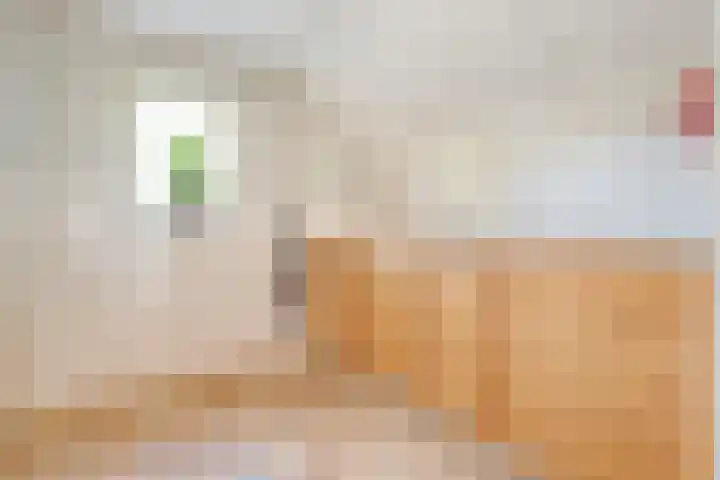 Dorpsstraat 6 B Nijeveen thumbnail 14