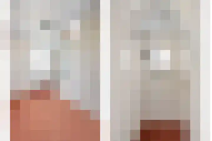 Dorpsstraat 6 B Nijeveen thumbnail 19