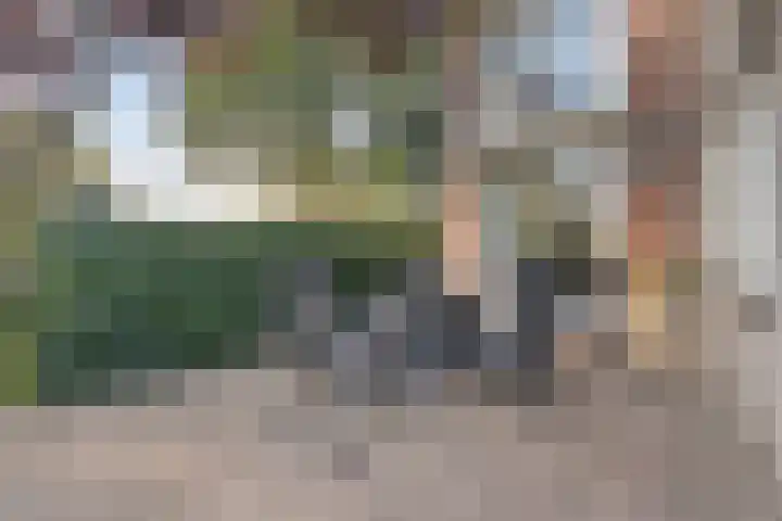 Dorpsstraat 6 B Nijeveen thumbnail 33