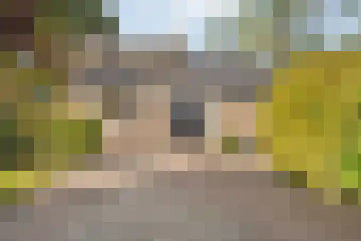 Dorpsstraat 6 B Nijeveen thumbnail 34