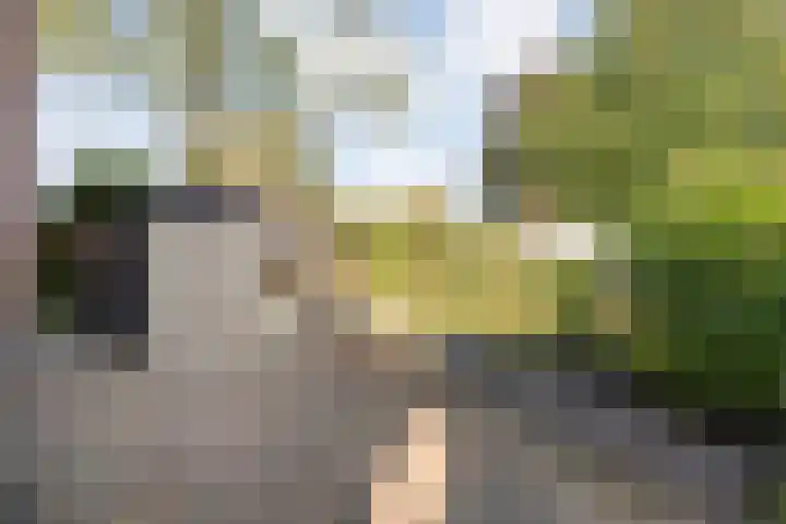 Dorpsstraat 6 B Nijeveen thumbnail 35