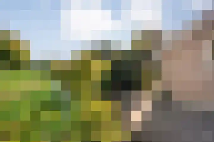Dorpsstraat 6 B Nijeveen thumbnail 36