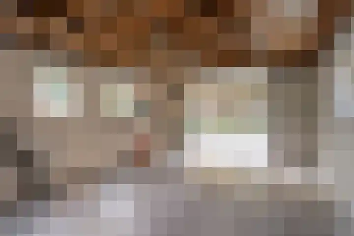 Dorpsstraat 6 B Nijeveen thumbnail 37