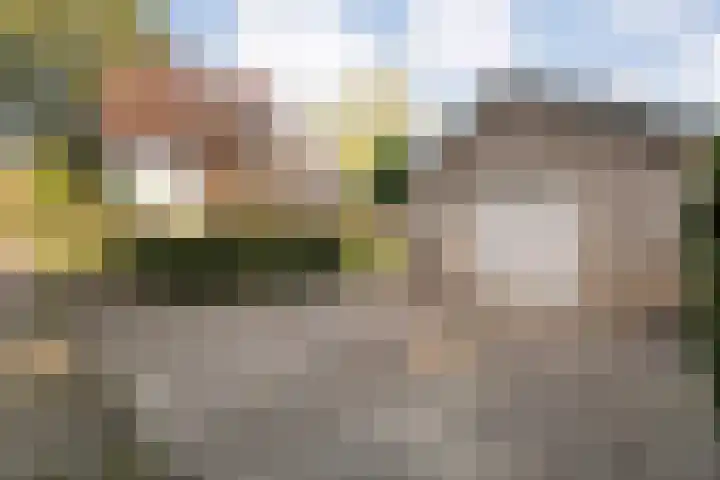 Dorpsstraat 6 B Nijeveen thumbnail 39