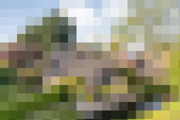 Dorpsstraat 6 B Nijeveen thumbnail 4