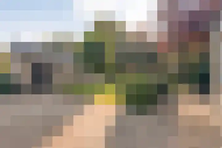 Dorpsstraat 6 B Nijeveen thumbnail 40