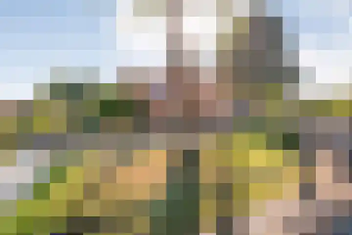 Dorpsstraat 6 B Nijeveen thumbnail 42