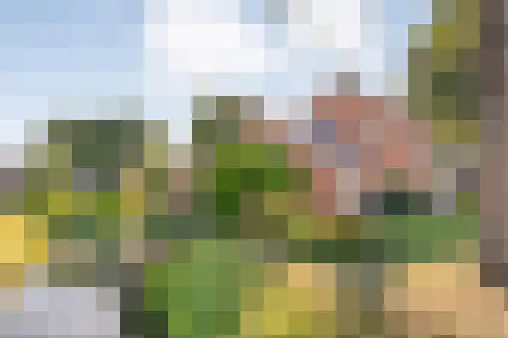 Dorpsstraat 6 B Nijeveen thumbnail 43