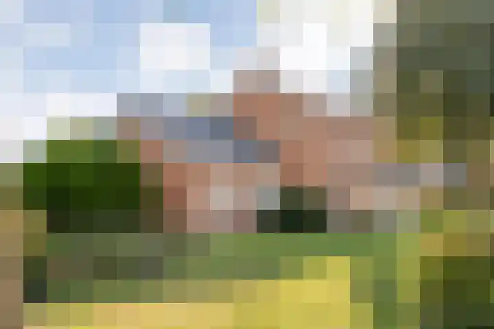 Dorpsstraat 6 B Nijeveen thumbnail 44