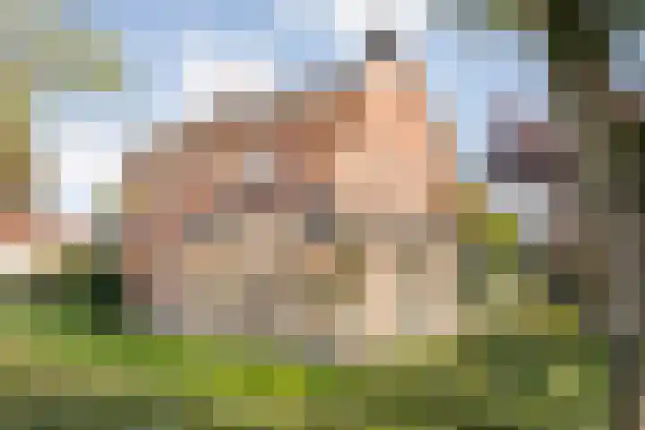 Dorpsstraat 6 B Nijeveen thumbnail 45