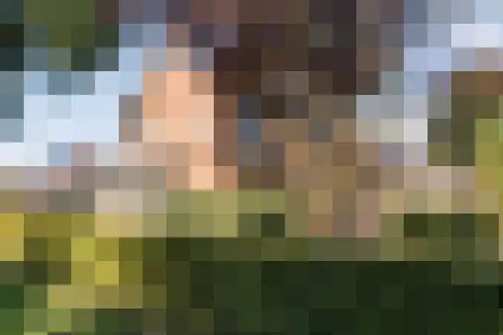 Dorpsstraat 6 B Nijeveen thumbnail 46
