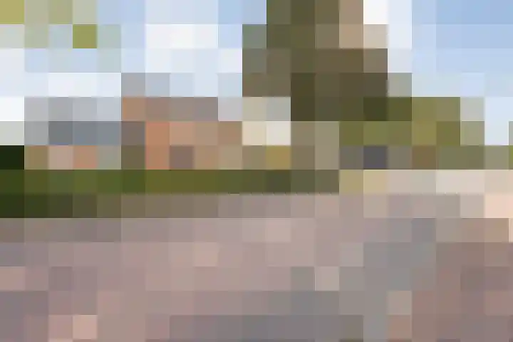 Dorpsstraat 6 B Nijeveen thumbnail 47