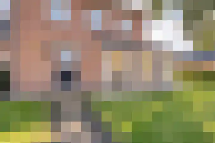 Dorpsstraat 6 B Nijeveen thumbnail 50