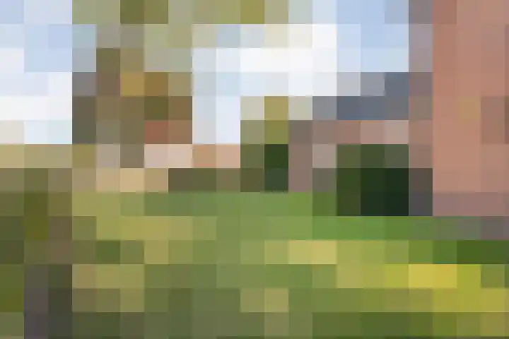 Dorpsstraat 6 B Nijeveen thumbnail 51