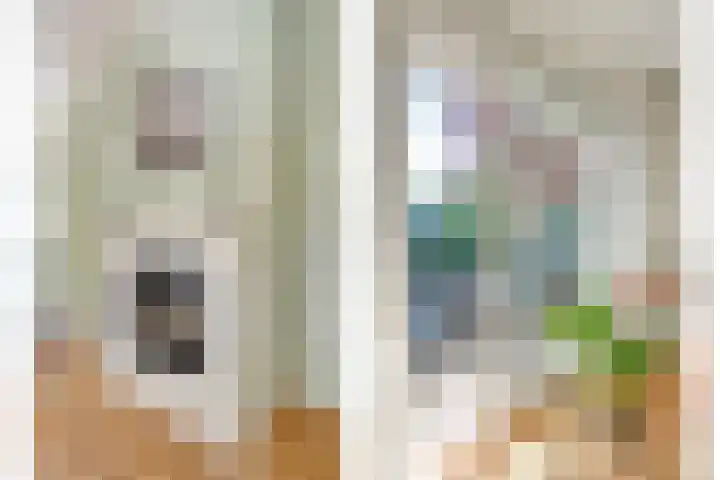 Dorpsstraat 6 B Nijeveen thumbnail 7