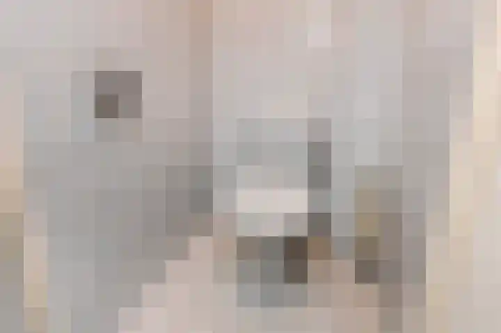 Dorpsstraat 6 Benthuizen thumbnail 10