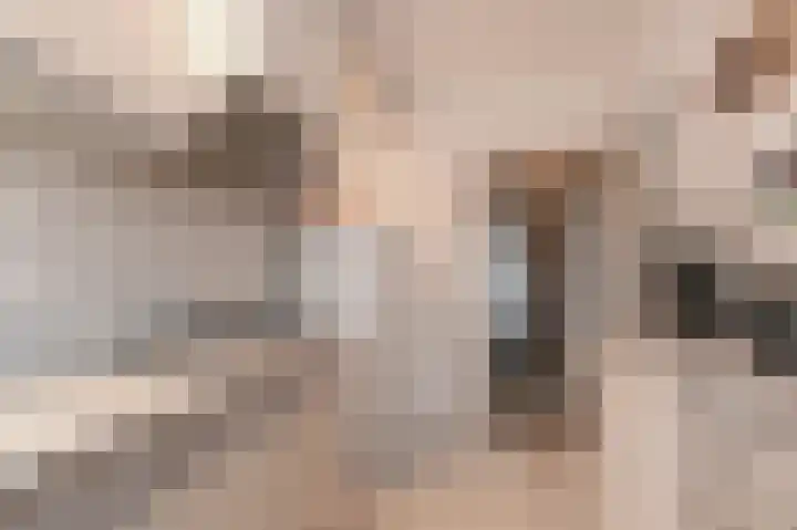 Dorpsstraat 6 Benthuizen thumbnail 18