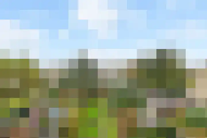 Dorpsstraat 6 Benthuizen thumbnail 22