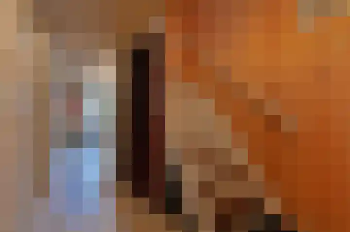 Dorpsstraat 6 Benthuizen thumbnail 36