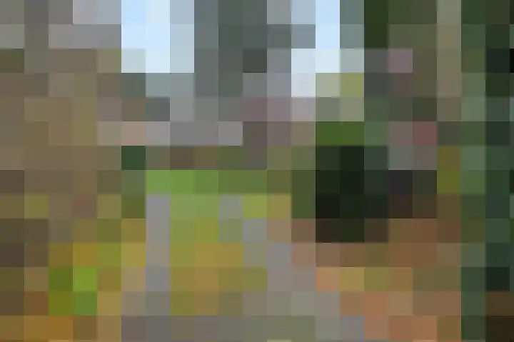 Dorpsstraat 6 Benthuizen thumbnail 45