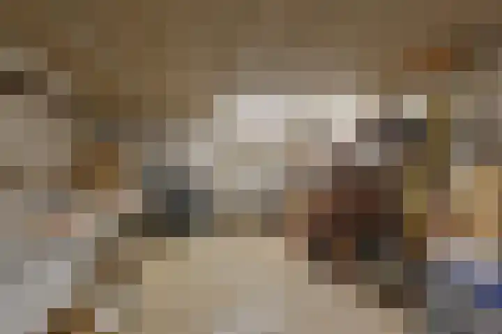 Dorpsstraat 6 Benthuizen thumbnail 50