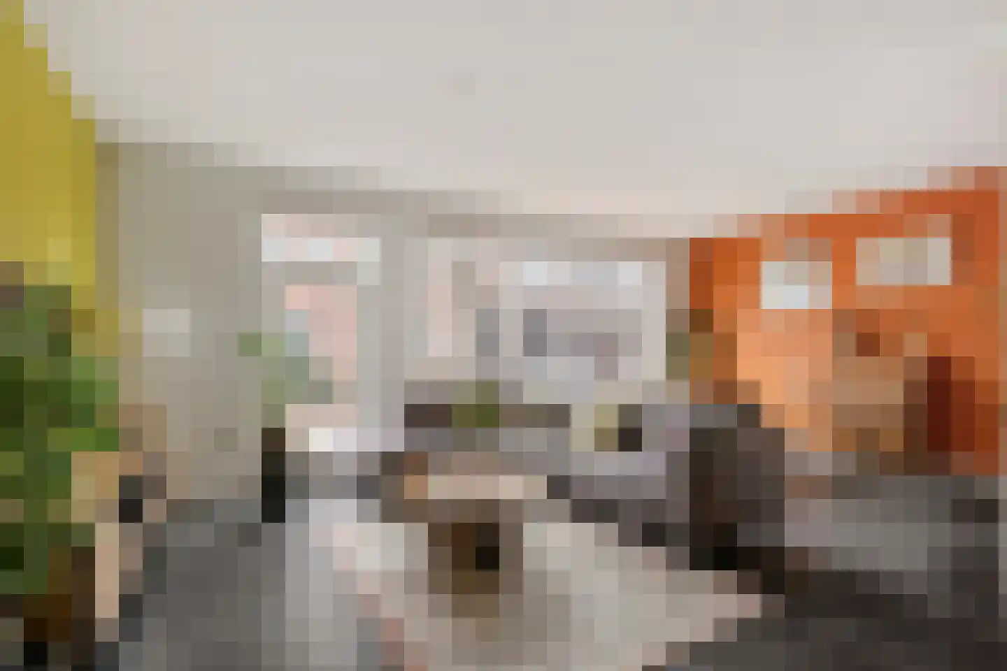 Dorpsstraat 6 Bunschoten-Spakenburg thumbnail 8
