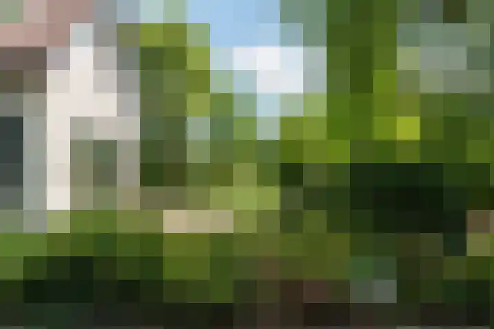Dorpsstraat 6 IJzendoorn thumbnail 34