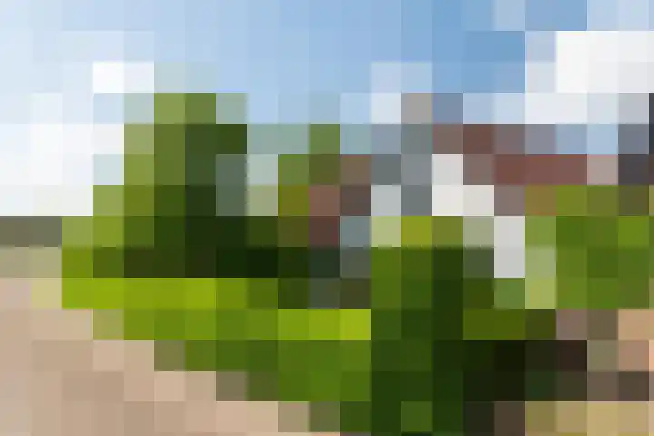 Dorpsstraat 6 IJzendoorn thumbnail 5