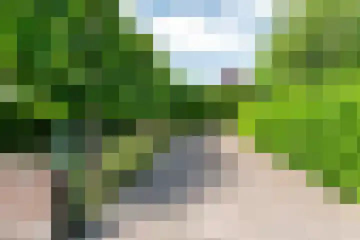 Dorpsstraat 6 IJzendoorn thumbnail 7