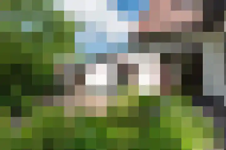 Dorpsstraat 6 IJzendoorn thumbnail 9