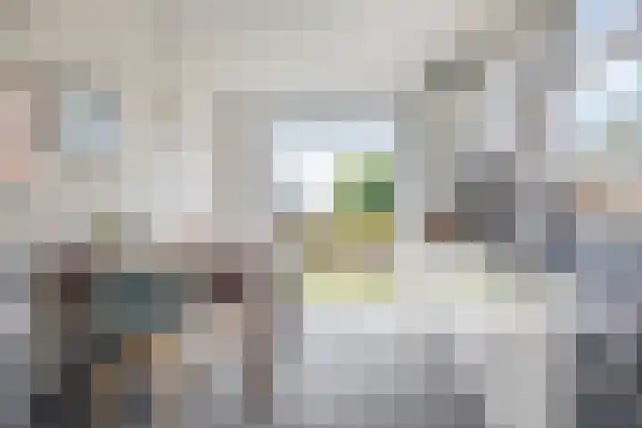 Dorpsstraat 6 Maasdam thumbnail 10