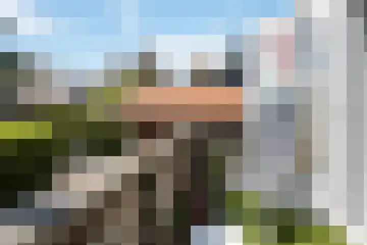 Dorpsstraat 6 Maasdam thumbnail 11