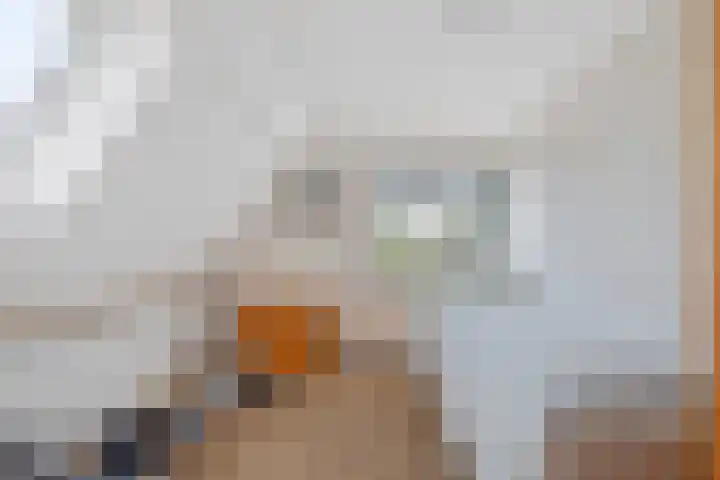 Dorpsstraat 6 Maasdam thumbnail 16