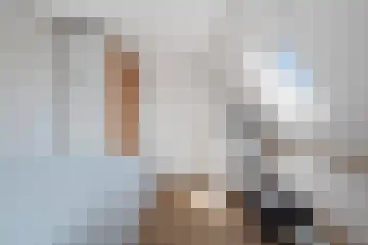 Dorpsstraat 6 Maasdam thumbnail 17