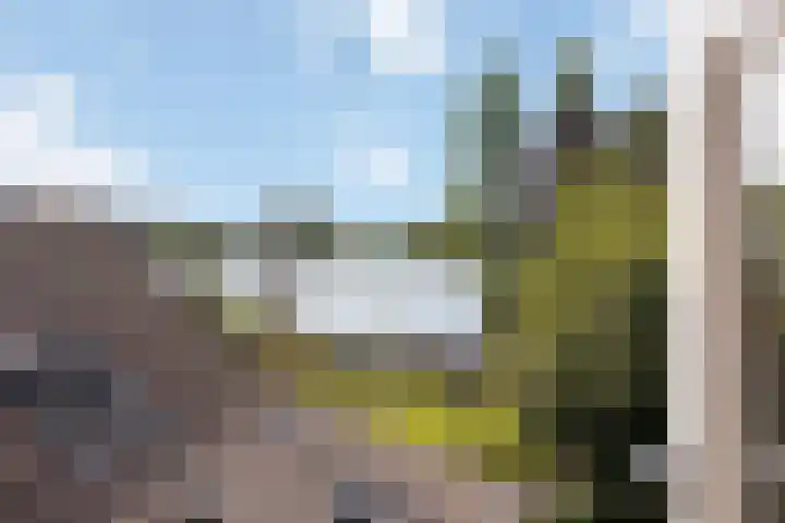 Dorpsstraat 6 Maasdam thumbnail 18