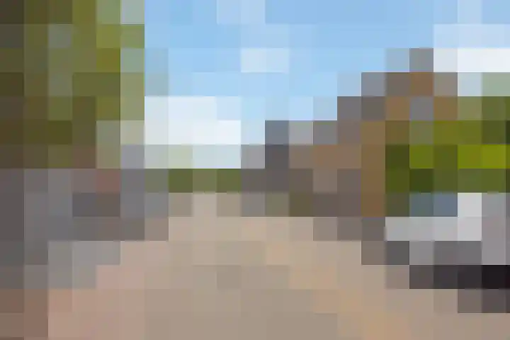 Dorpsstraat 6 Maasdam thumbnail 29