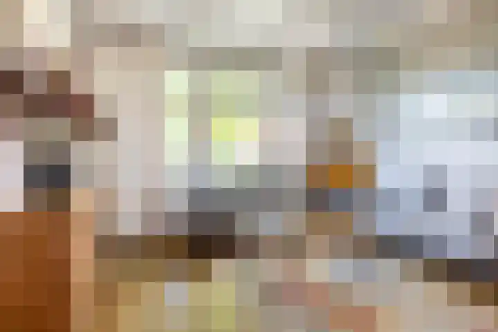 Dorpsstraat 6 Maasdam thumbnail 4