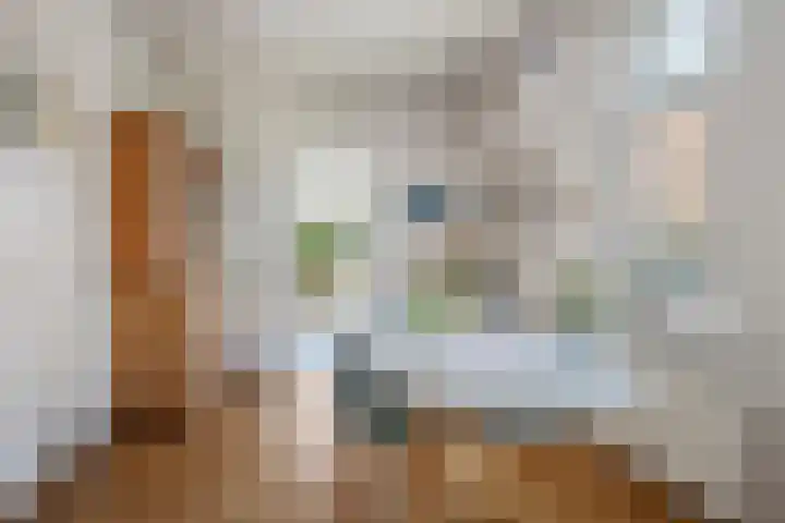 Dorpsstraat 6 Maasdam thumbnail 8