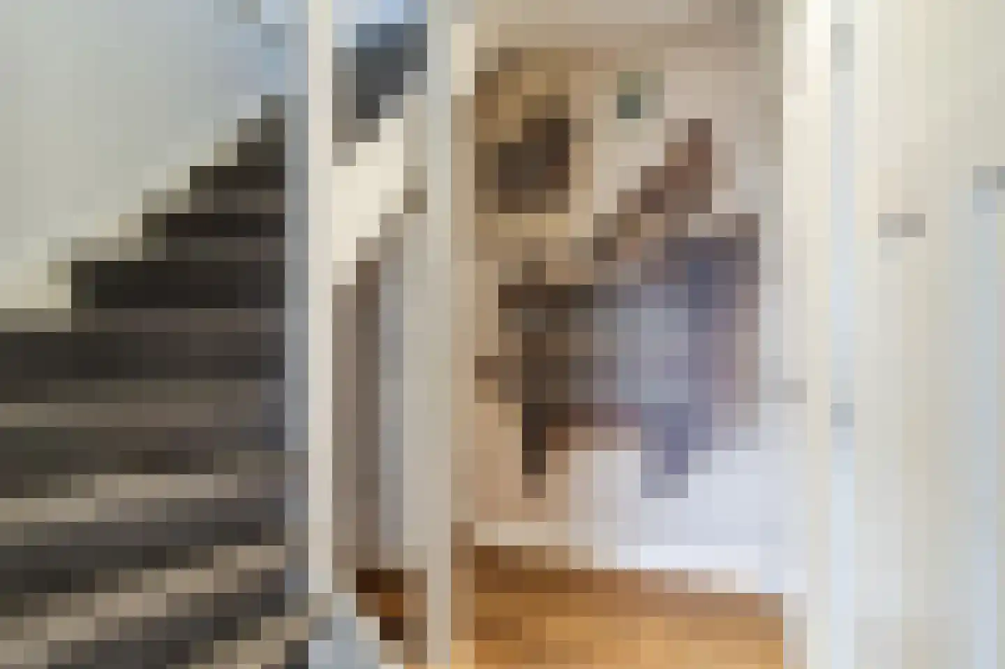 Dorpsstraat 6 Moordrecht thumbnail 32