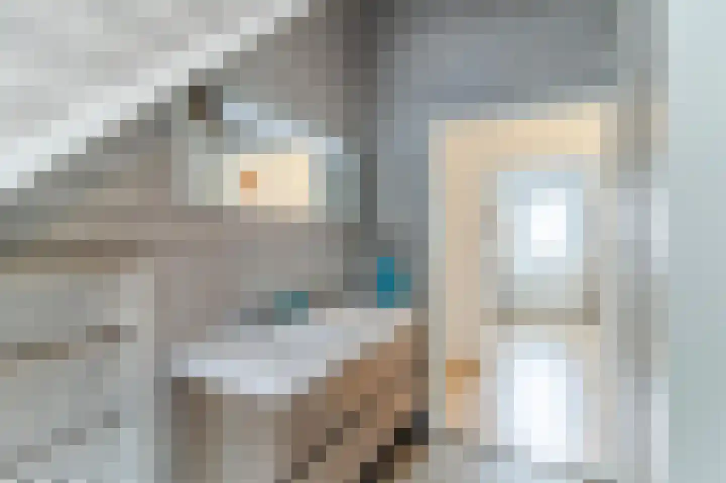 Dorpsstraat 6 Moordrecht thumbnail 47