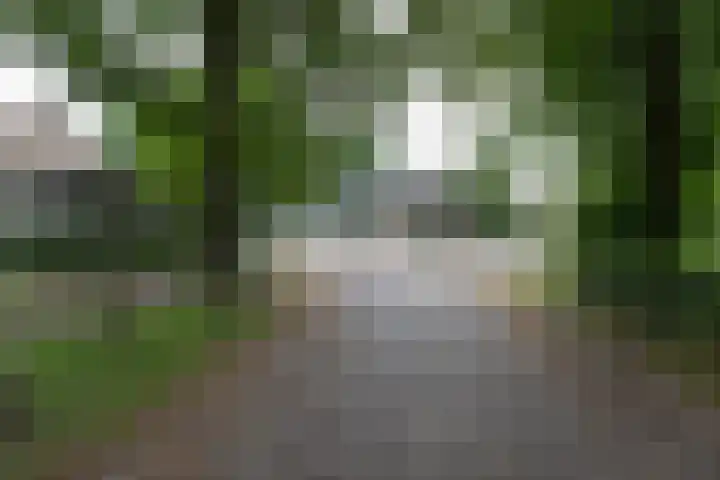 Dorpsstraat 6 Orvelte thumbnail 4
