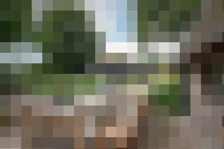 Dorpsstraat 6 Orvelte thumbnail 41