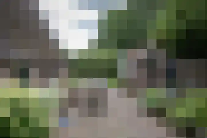 Dorpsstraat 6 Orvelte thumbnail 42
